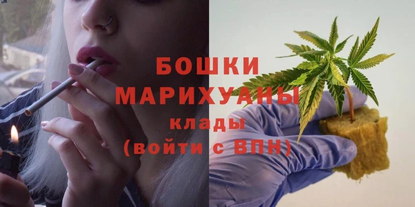винт Липки