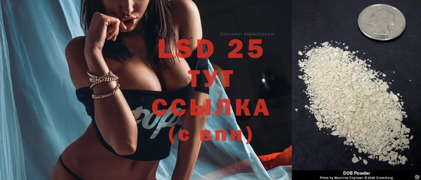 винт Липки