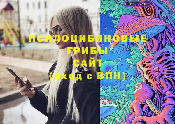PSILOCYBIN Лиски