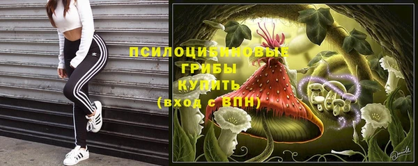 PSILOCYBIN Лиски