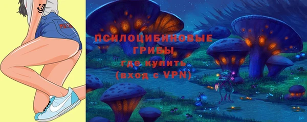 винт Липки