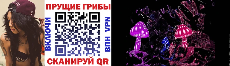 Псилоцибиновые грибы мицелий  кракен зеркало  Малмыж 